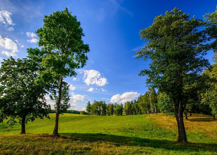 Mazurskie Chatki W Skarpie Дом отдыха Wielowies (Ilawa)